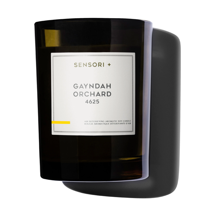 Detoxifying Soy Candle Gayndah Orchard 4625 - 260g